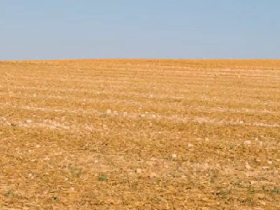 Immagine 6 di Terreno agricolo in vendita  in Via Girfalco a Urbino