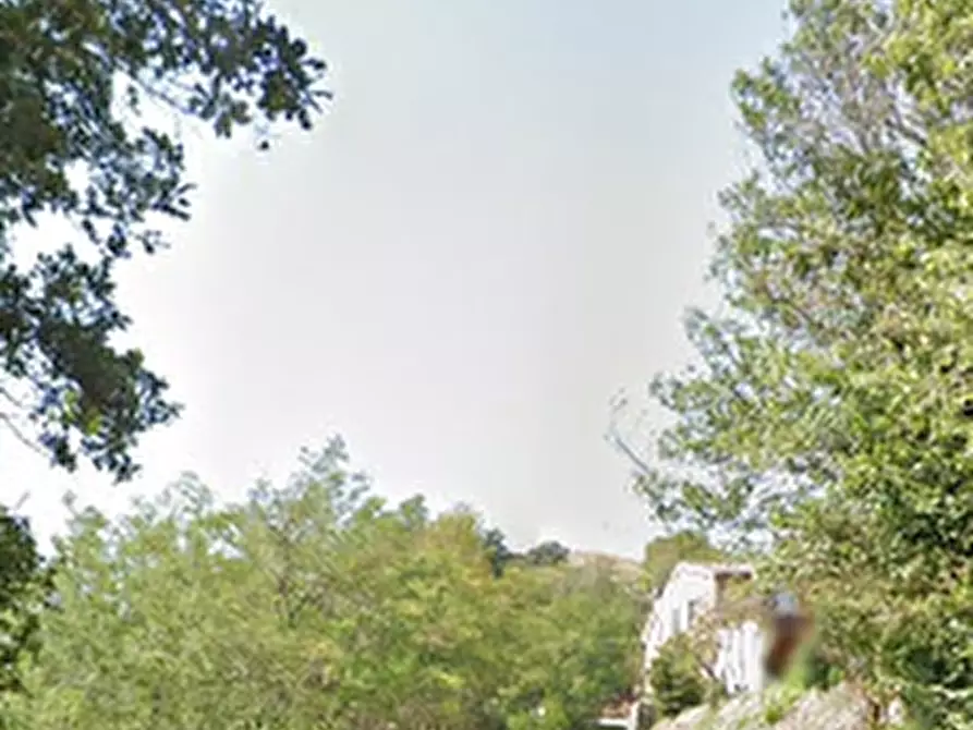 Immagine 12 di Terreno agricolo in vendita  in Via Girfalco a Urbino