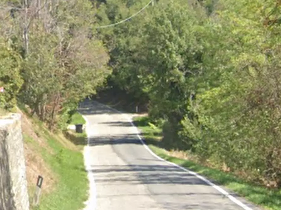 Immagine 14 di Terreno agricolo in vendita  in Via Girfalco a Urbino