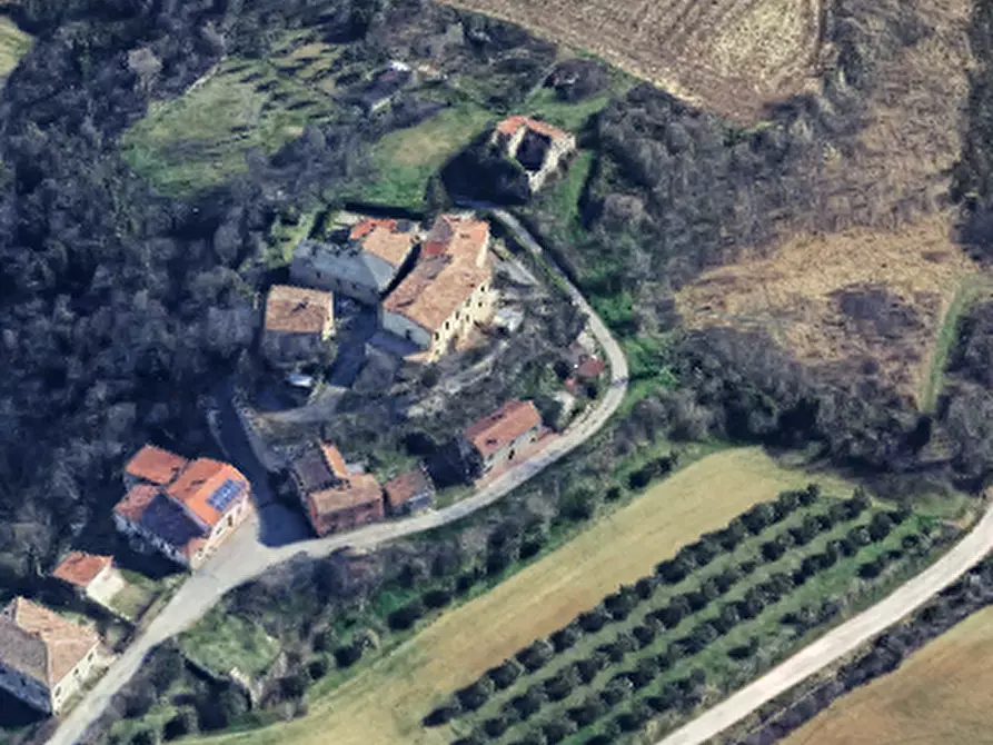 Immagine 1 di Terreno agricolo in vendita  in Localita' Pian di Castello a Sassocorvaro Auditore