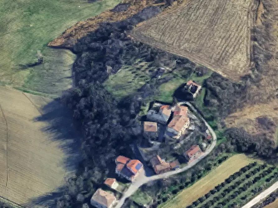 Immagine 3 di Terreno agricolo in vendita  in Localita' Pian di Castello a Sassocorvaro Auditore