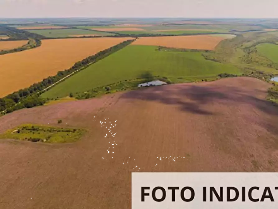 Immagine 7 di Terreno agricolo in vendita  in Localita' Pian di Castello a Sassocorvaro Auditore