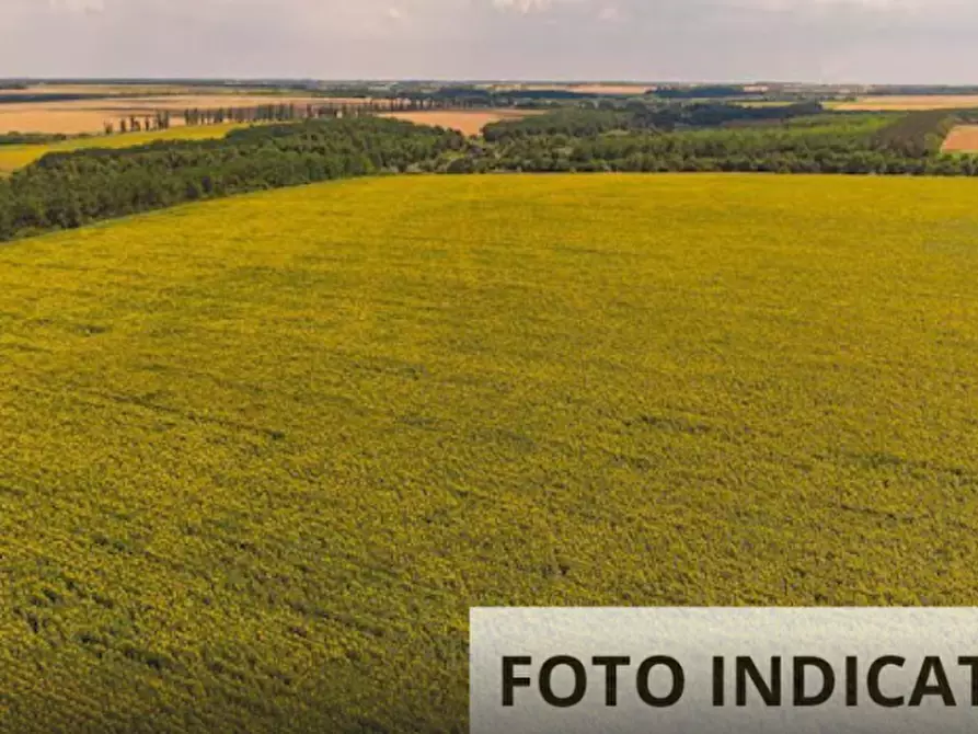 Immagine 8 di Terreno agricolo in vendita  in Localita' Pian di Castello a Sassocorvaro Auditore