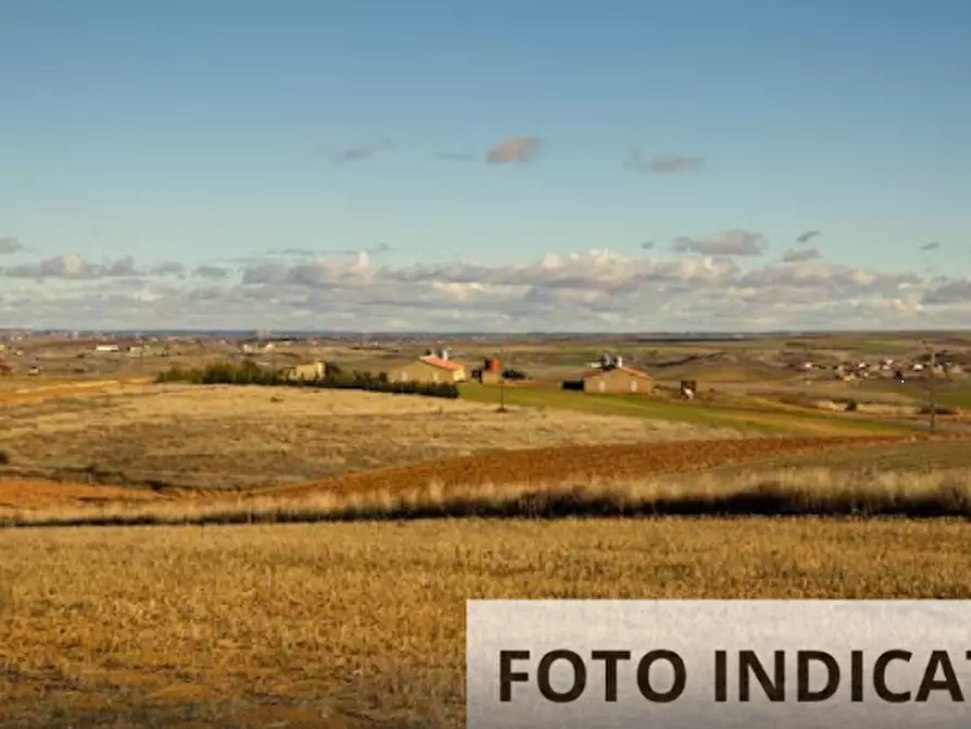 Immagine 9 di Terreno agricolo in vendita  in Localita' Pian di Castello a Sassocorvaro Auditore