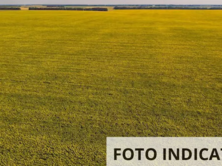 Immagine 10 di Terreno agricolo in vendita  in Localita' Pian di Castello a Sassocorvaro Auditore
