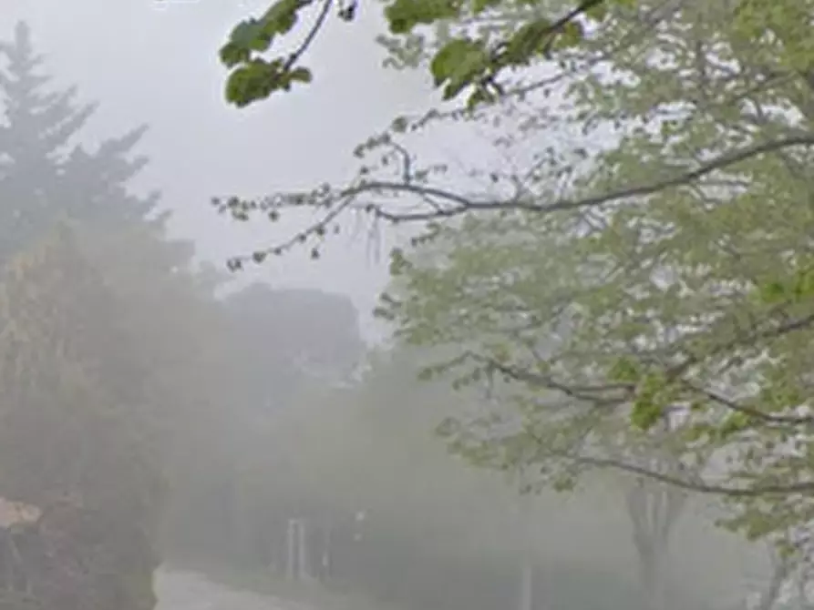 Immagine 12 di Terreno agricolo in vendita  in Localita' Pian di Castello a Sassocorvaro Auditore