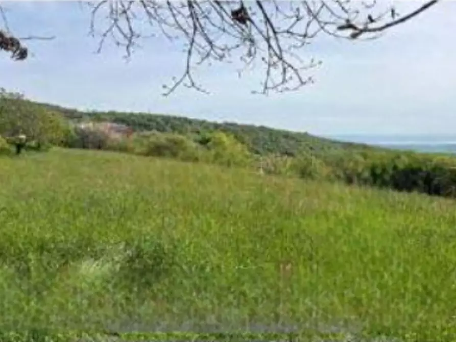 Immagine 1 di Terreno agricolo in vendita  in Via Po a Serle