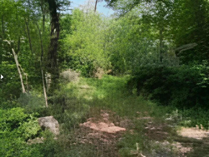 Immagine 1 di Terreno agricolo in vendita  in Via Muradelli a Serle