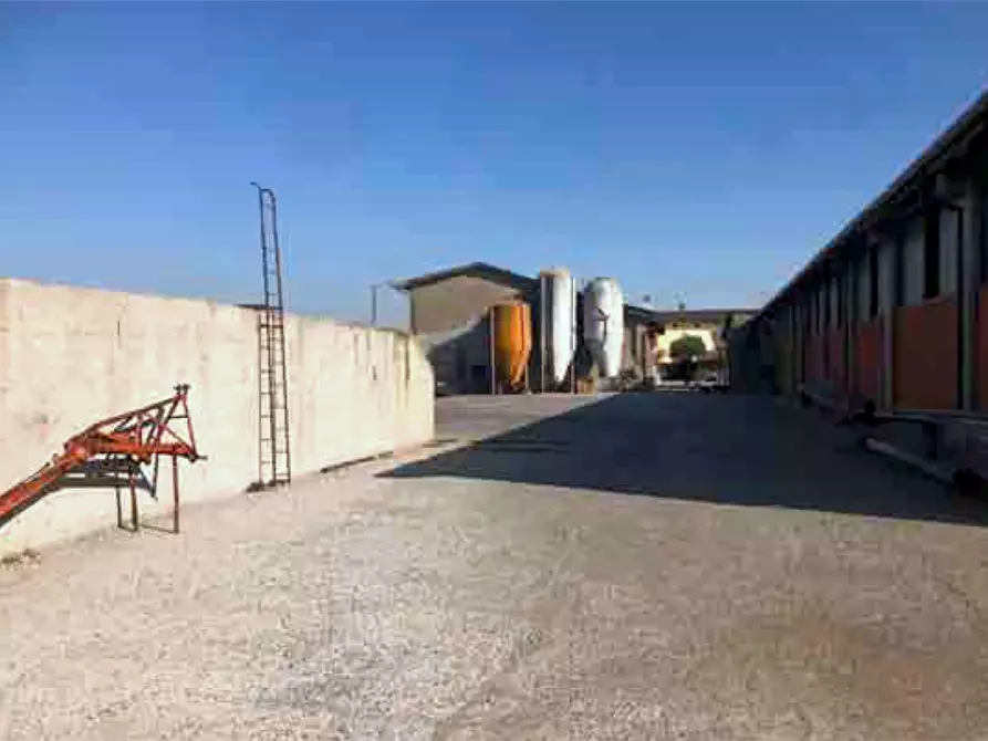 Immagine 3 di Capannone industriale in vendita  in Via Guglielmo Marconi a Berlingo
