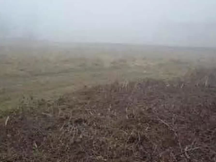 Immagine 3 di Terreno agricolo in vendita  in Località Alfianello  a Alfianello