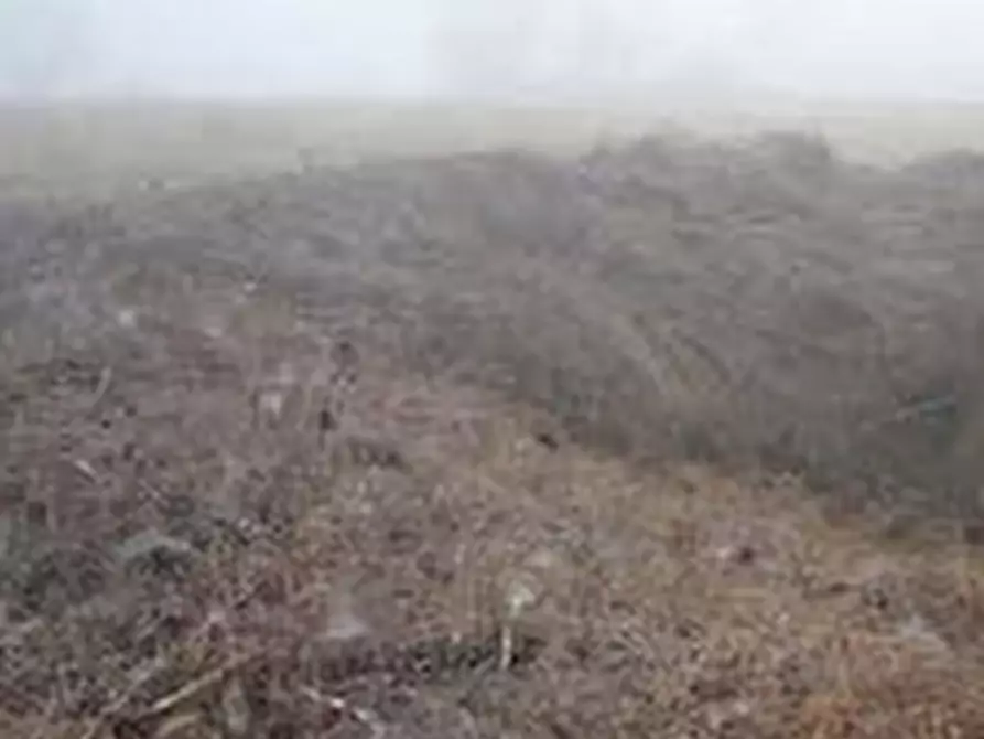 Immagine 4 di Terreno agricolo in vendita  in Località Alfianello  a Alfianello