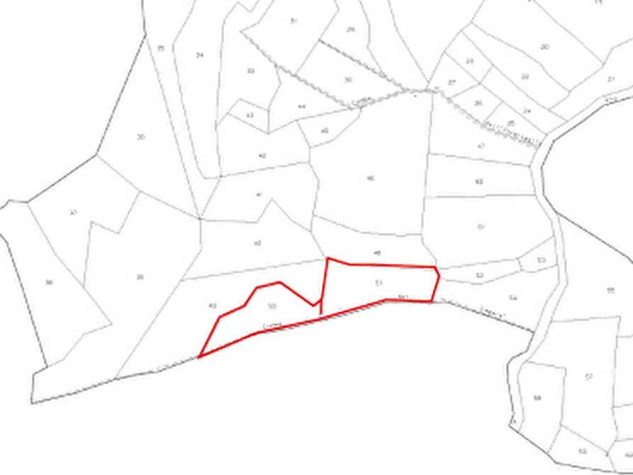 Immagine 5 di Terreno agricolo in vendita  in Frazione Faetto a Perrero