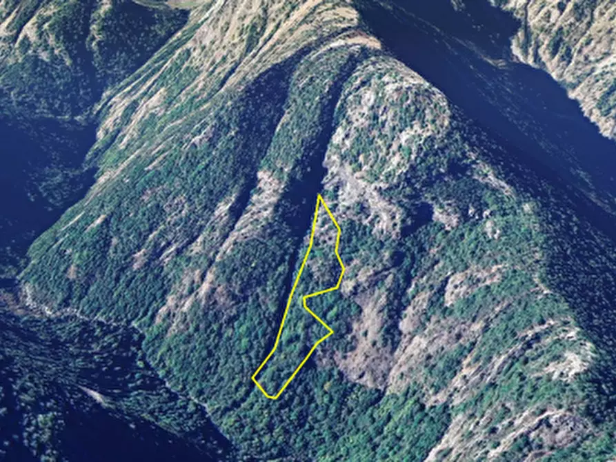 Immagine 6 di Terreno agricolo in vendita  in Frazione Faetto a Perrero