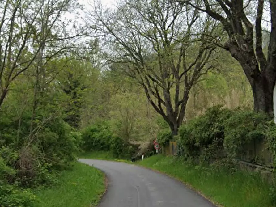 Immagine 2 di Stabile in vendita  in Via Torricella a Tavoleto
