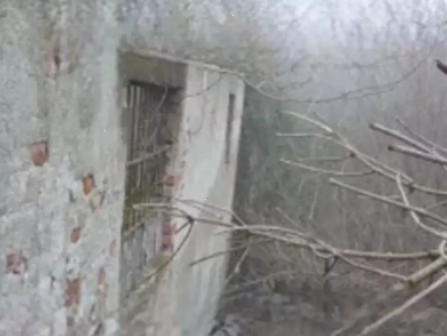 Immagine 4 di Rustico / casale in vendita  in Via Zanardelli a Alfianello