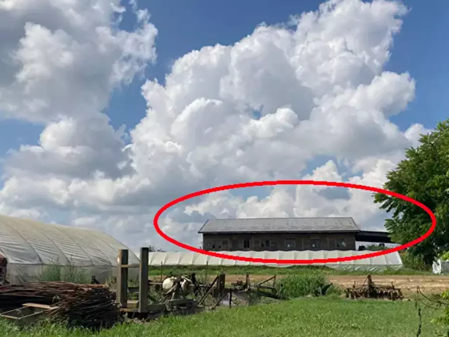 Immagine 6 di Terreno agricolo in vendita  in Via Tetti Mauriti a Villastellone