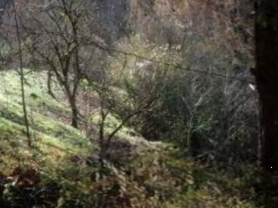 Immagine 1 di Terreno agricolo in vendita  in Località Avie a Vestone