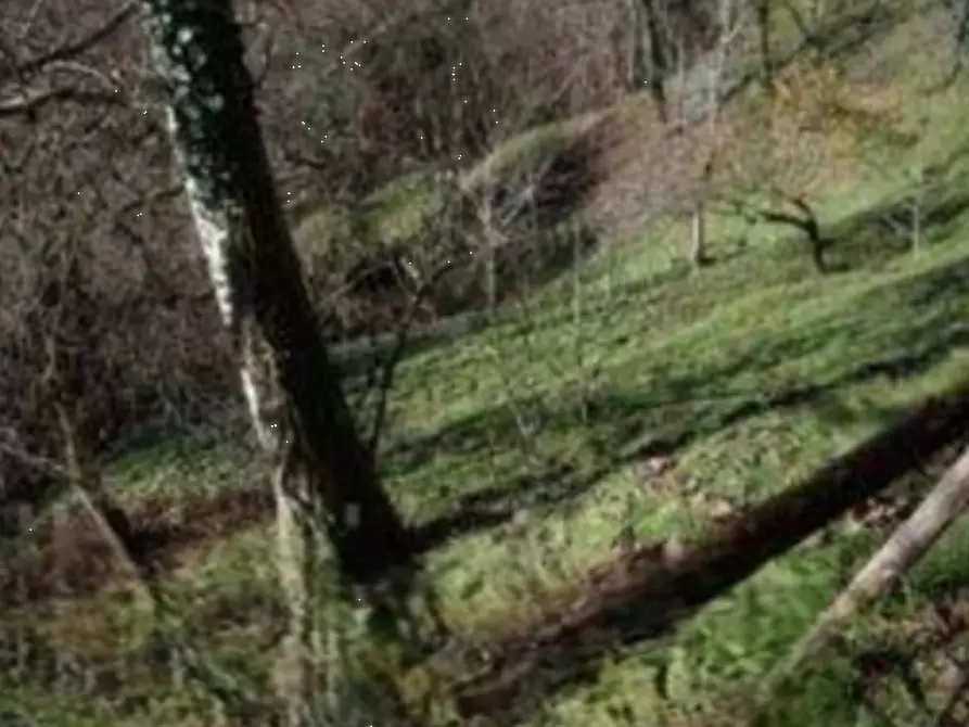 Immagine 2 di Terreno agricolo in vendita  in Località Avie a Vestone