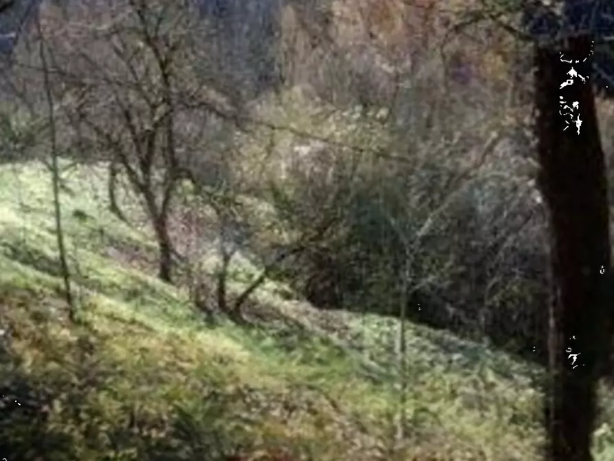 Immagine 3 di Terreno agricolo in vendita  in Località Avie a Vestone