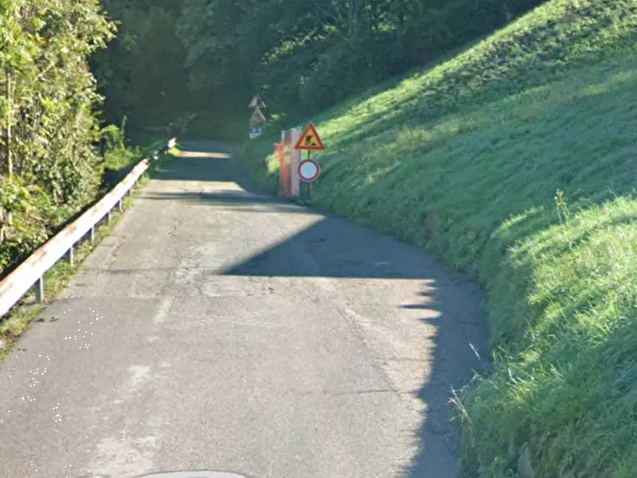 Immagine 4 di Terreno agricolo in vendita  in Località Avie a Vestone