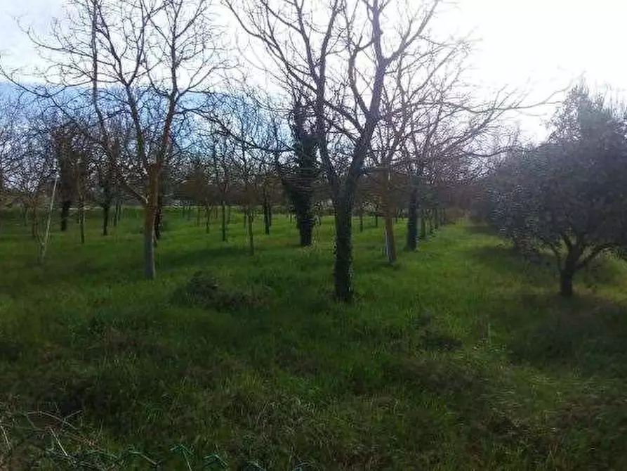 Immagine 14 di Casa indipendente in vendita  in Via Strada Ferrata a Pesaro