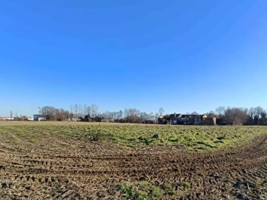 Immagine 3 di Terreno agricolo in vendita  in Via Zecchina a Quinto Di Treviso