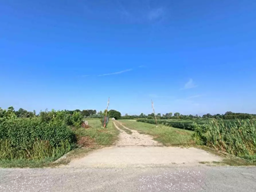 Immagine 5 di Terreno agricolo in vendita  in Via Zecchina a Quinto Di Treviso