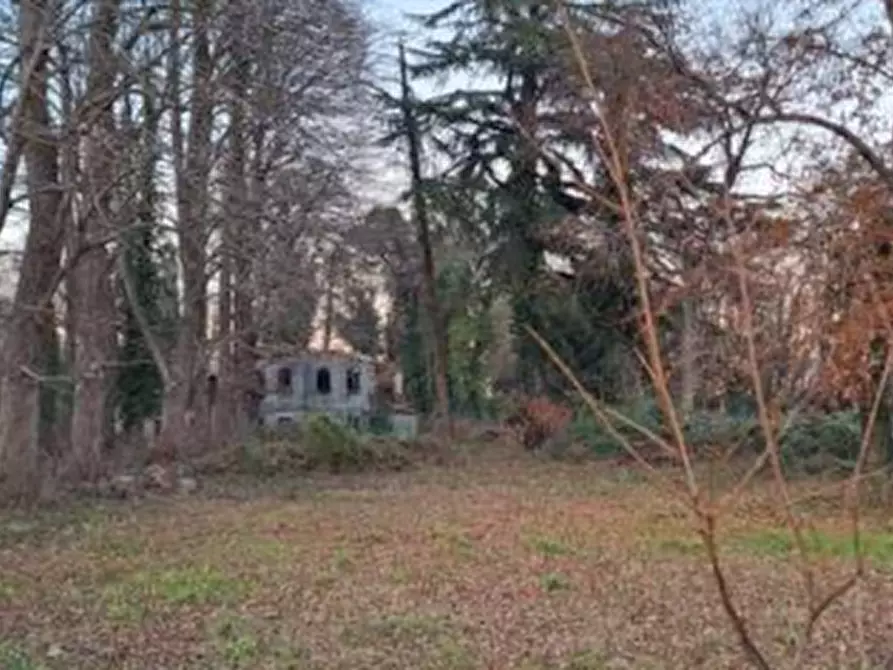 Immagine 3 di Terreno agricolo in vendita  in Via Bonisiolo  a Mogliano Veneto