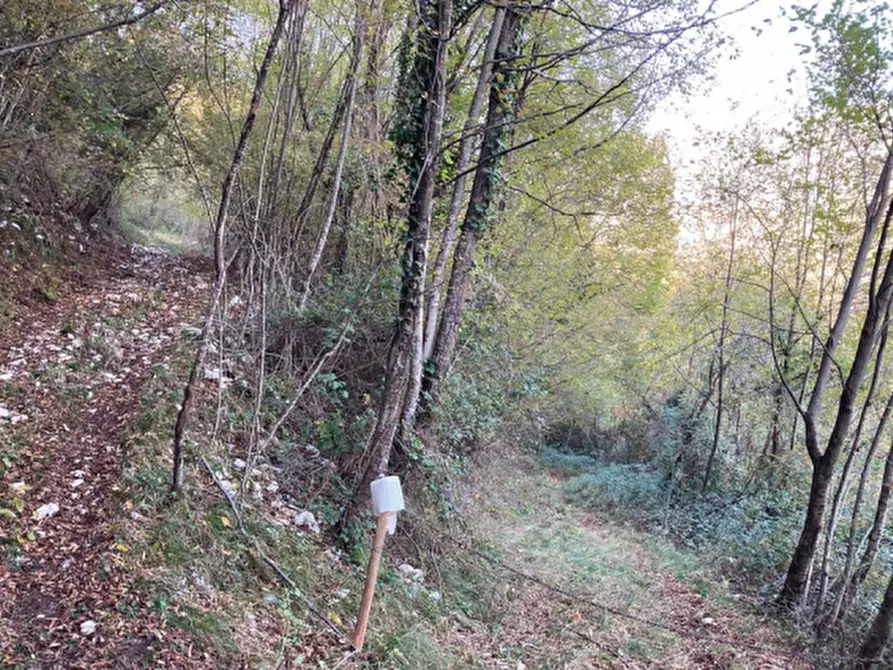 Immagine 3 di Terreno agricolo in vendita  in Via San Valentino a Segusino