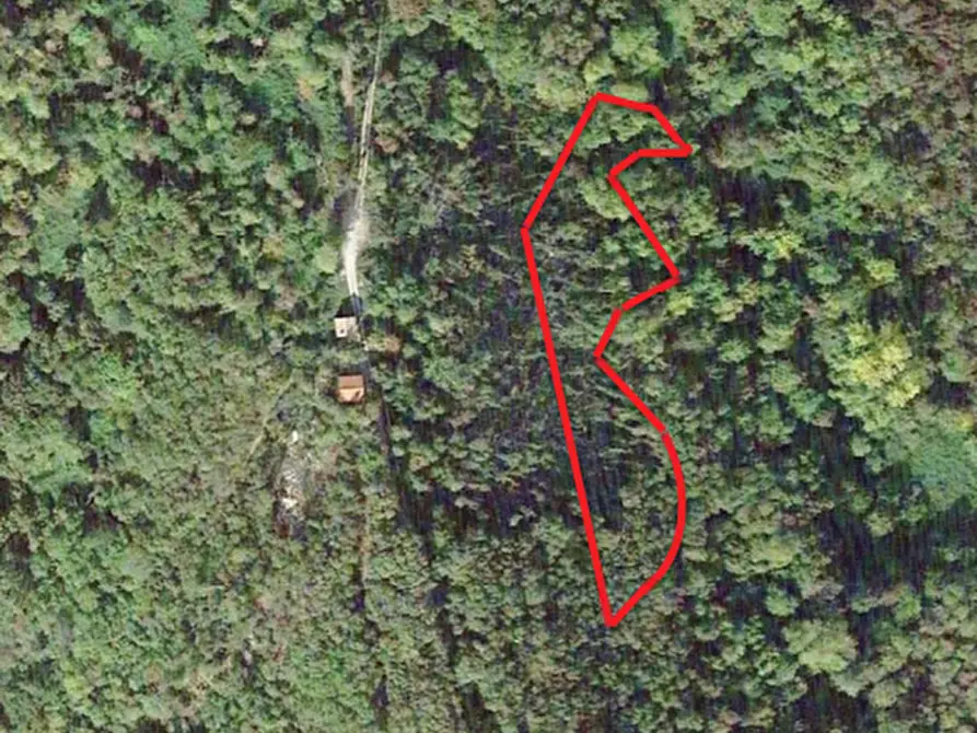 Immagine 4 di Terreno agricolo in vendita  in Via San Valentino a Segusino