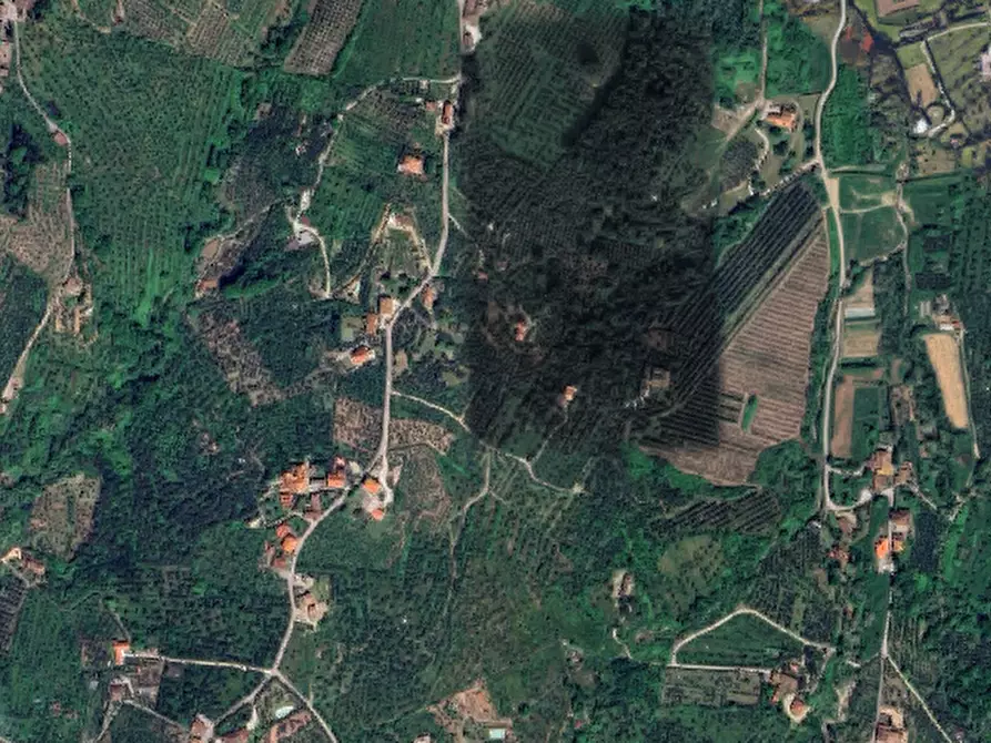 Immagine 2 di Terreno agricolo in vendita  in Via Fissa o Madonnone a Quarrata