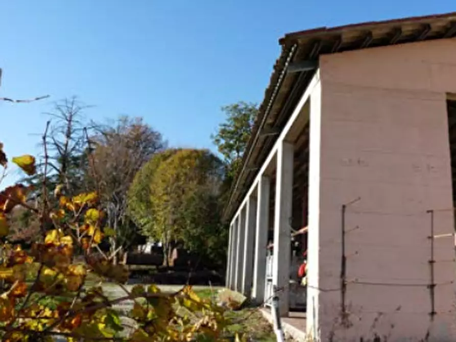 Immagine 9 di Azienda agricola in vendita  in Via Bonemi a Colle Umberto