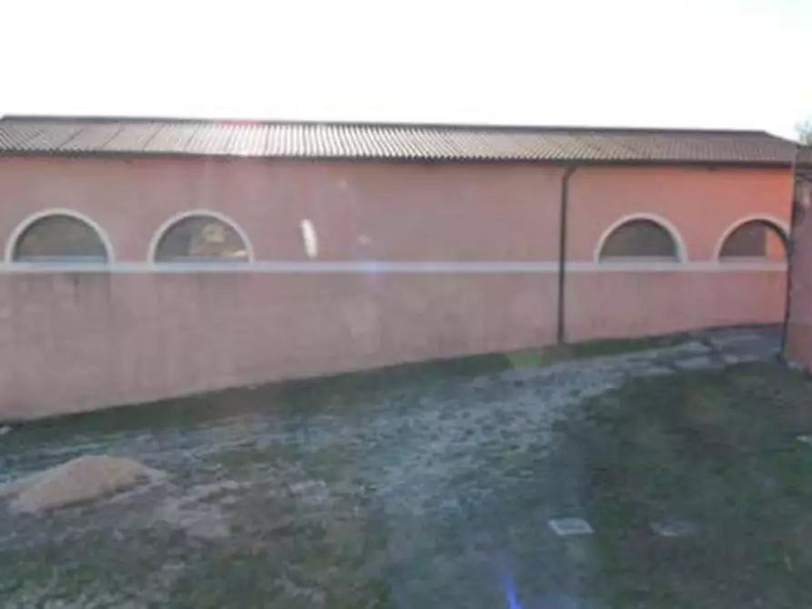 Immagine 11 di Azienda agricola in vendita  in Via Bonemi a Colle Umberto
