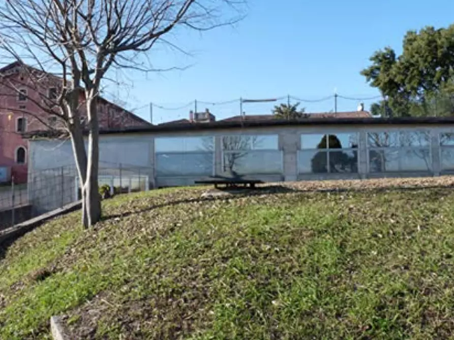 Immagine 16 di Azienda agricola in vendita  in Via Bonemi a Colle Umberto