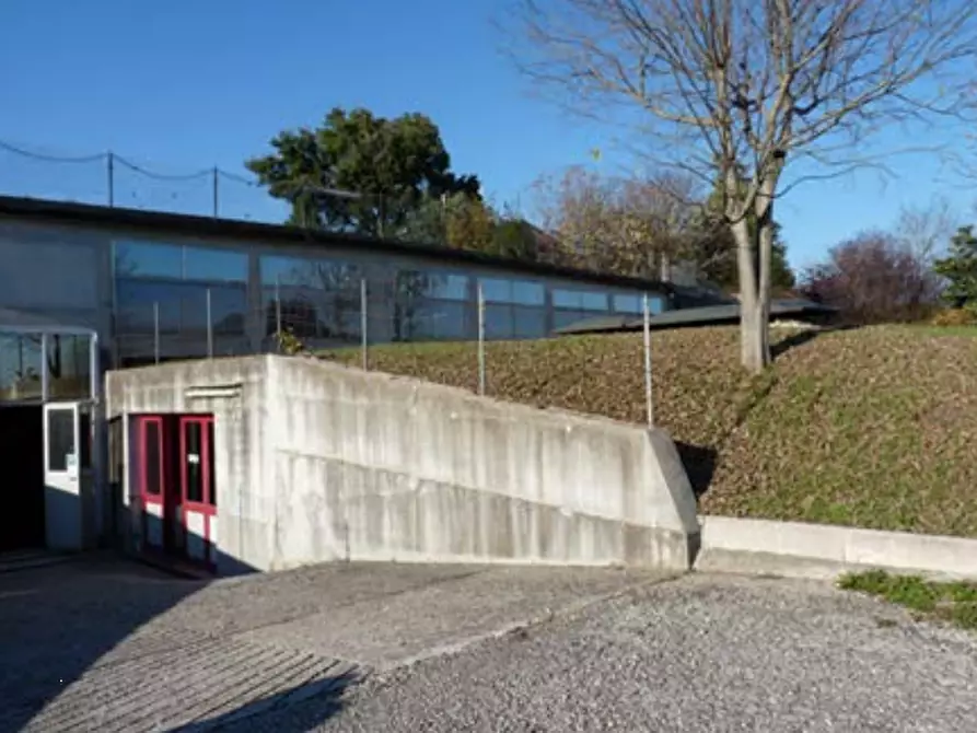 Immagine 17 di Azienda agricola in vendita  in Via Bonemi a Colle Umberto