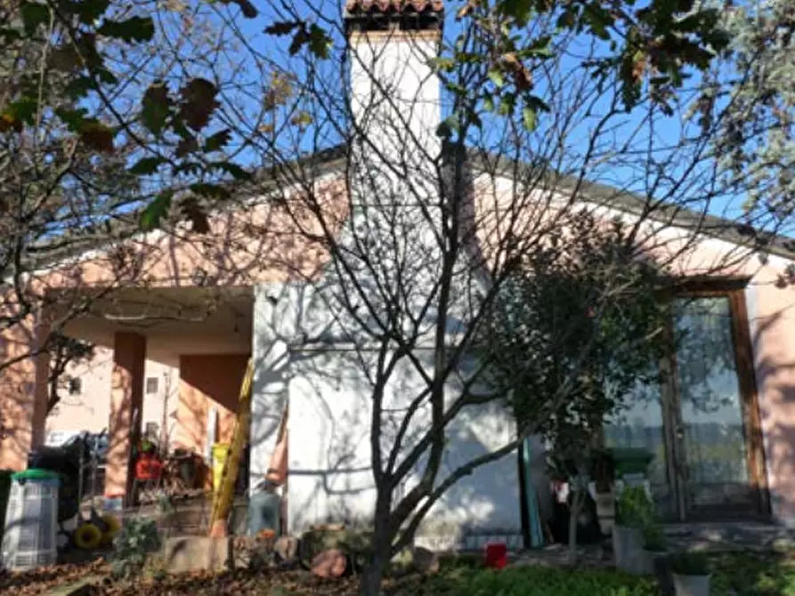 Immagine 22 di Azienda agricola in vendita  in Via Bonemi a Colle Umberto