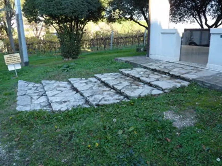 Immagine 24 di Azienda agricola in vendita  in Via Bonemi a Colle Umberto