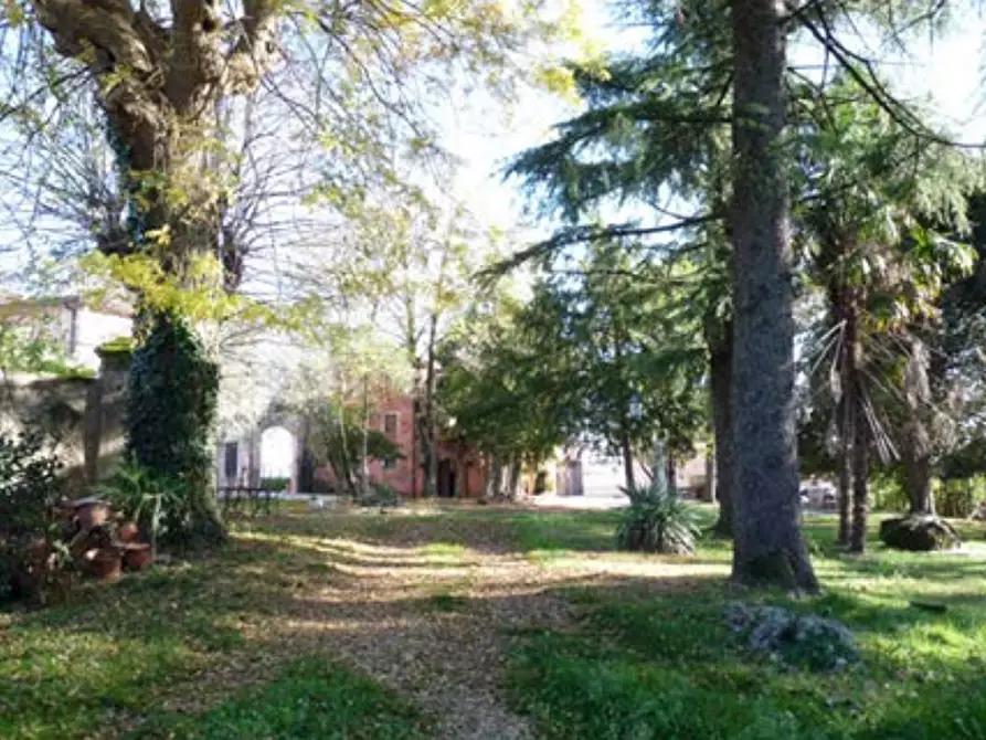 Immagine 35 di Azienda agricola in vendita  in Via Bonemi a Colle Umberto