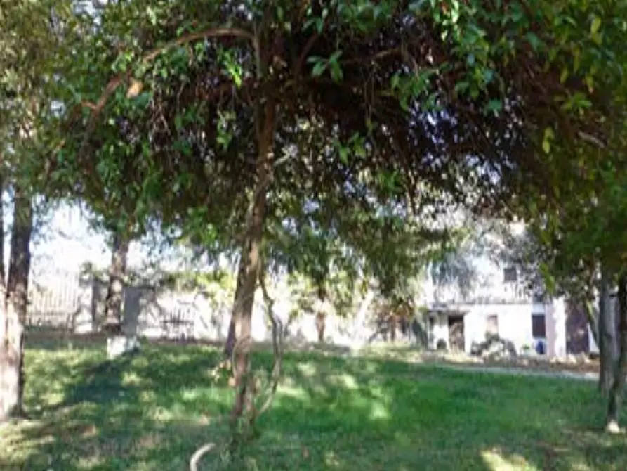 Immagine 36 di Azienda agricola in vendita  in Via Bonemi a Colle Umberto