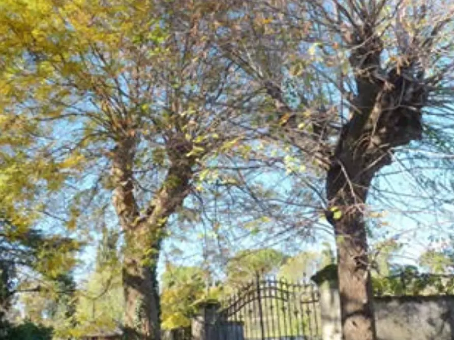 Immagine 37 di Azienda agricola in vendita  in Via Bonemi a Colle Umberto