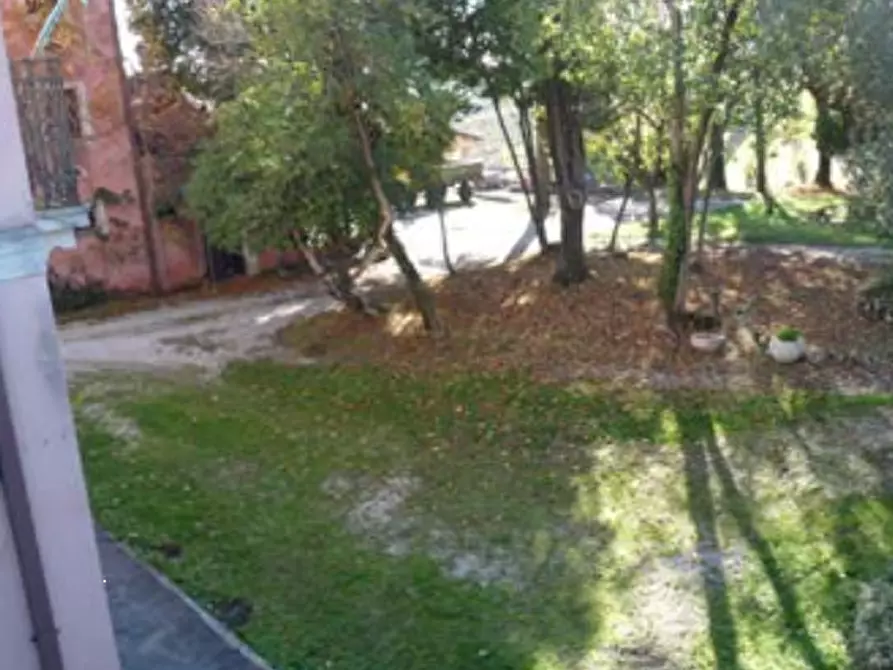 Immagine 40 di Azienda agricola in vendita  in Via Bonemi a Colle Umberto