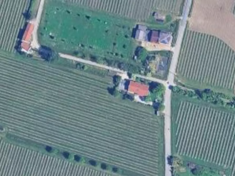 Immagine 16 di Appartamento in vendita  in Via Callunga a Salgareda