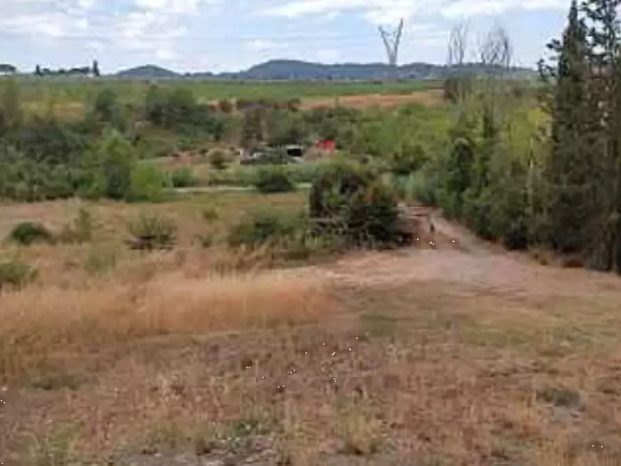 Immagine 4 di Terreno agricolo in vendita  in Via di Vingone a Scandicci