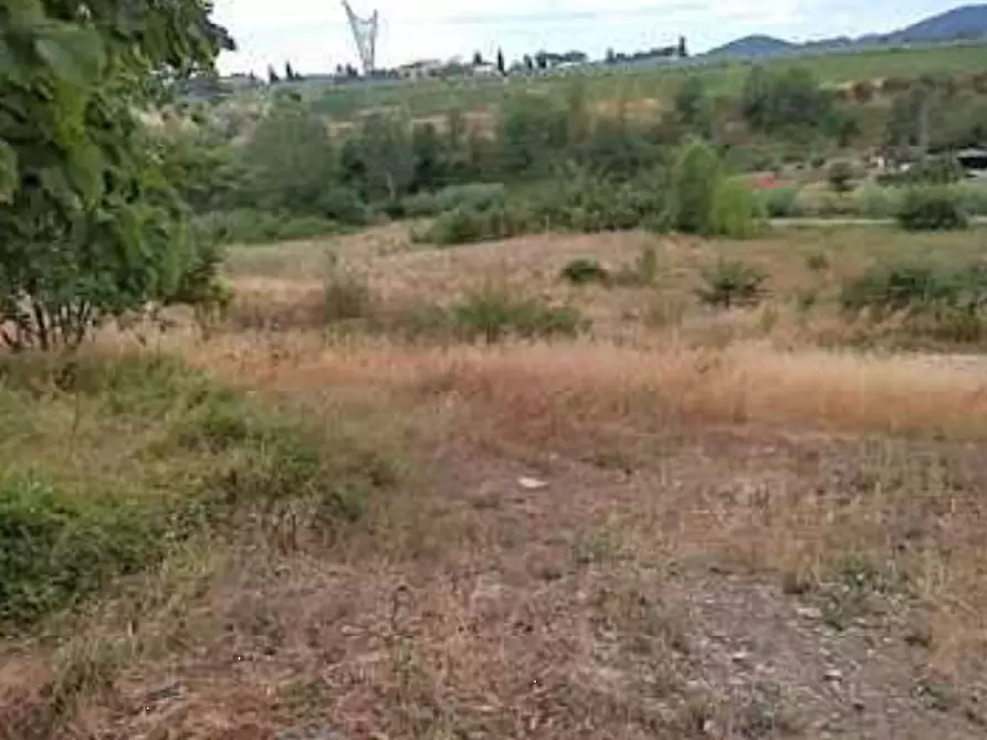 Immagine 6 di Terreno agricolo in vendita  in Via di Vingone a Scandicci