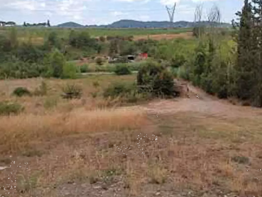 Immagine 7 di Terreno agricolo in vendita  in Via di Vingone a Scandicci