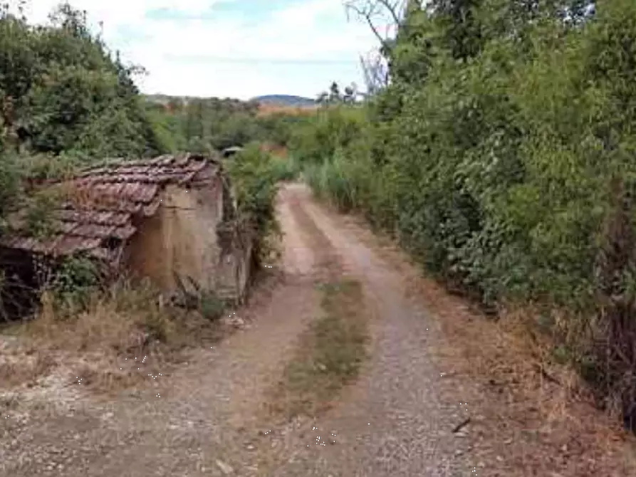 Immagine 8 di Terreno agricolo in vendita  in Via di Vingone a Scandicci