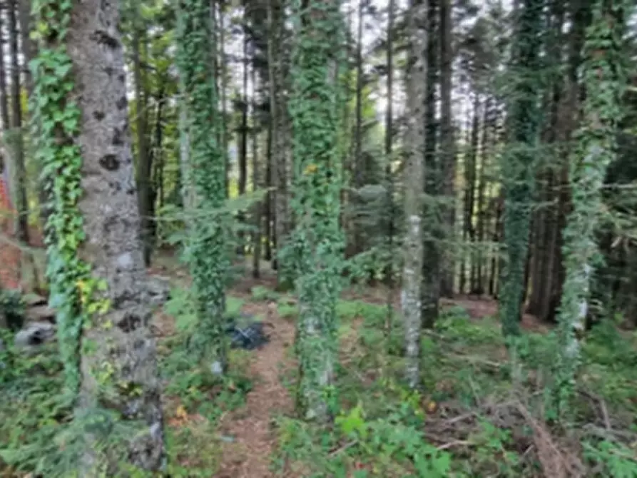 Immagine 23 di Villetta a schiera in vendita  in Via Poggio al Frate a Pelago