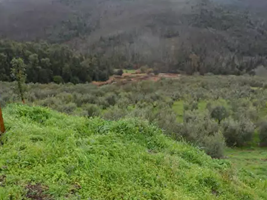 Immagine 9 di Appartamento in vendita  in Via di Fagna  a Scarperia