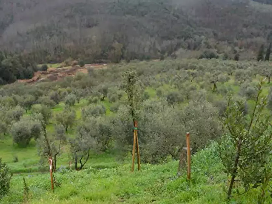 Immagine 10 di Appartamento in vendita  in Via di Fagna  a Scarperia