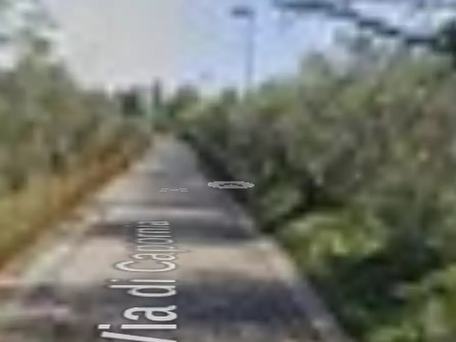 Immagine 8 di Terreno agricolo in vendita  in Via Capornia a Firenze